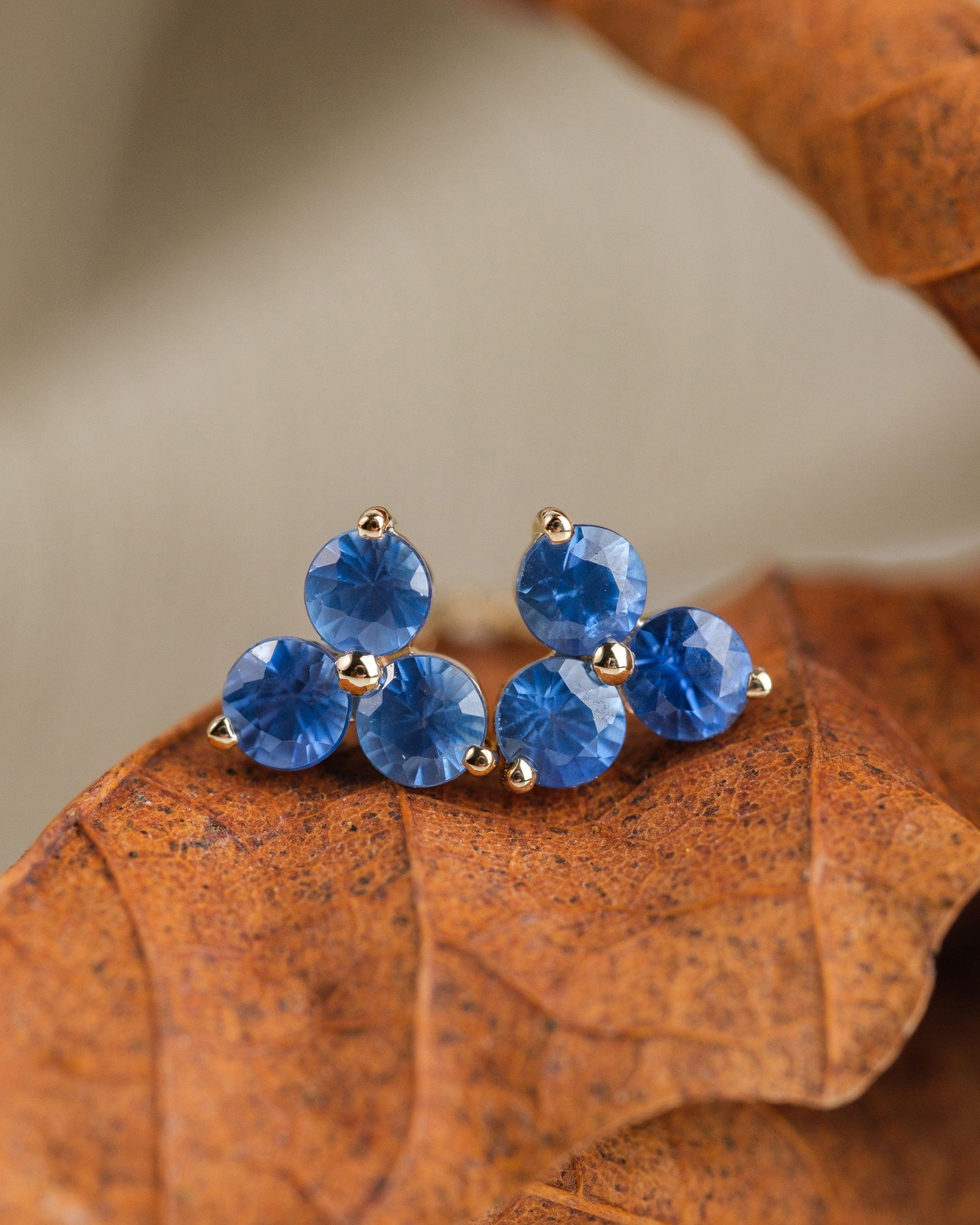 14k yellow gold stud earrings with 3 blue sapphires arranged in a floral shape, sitting on a brown leaf