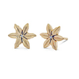Mexican Star Flower Studs