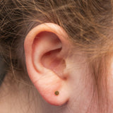 Dot Studs