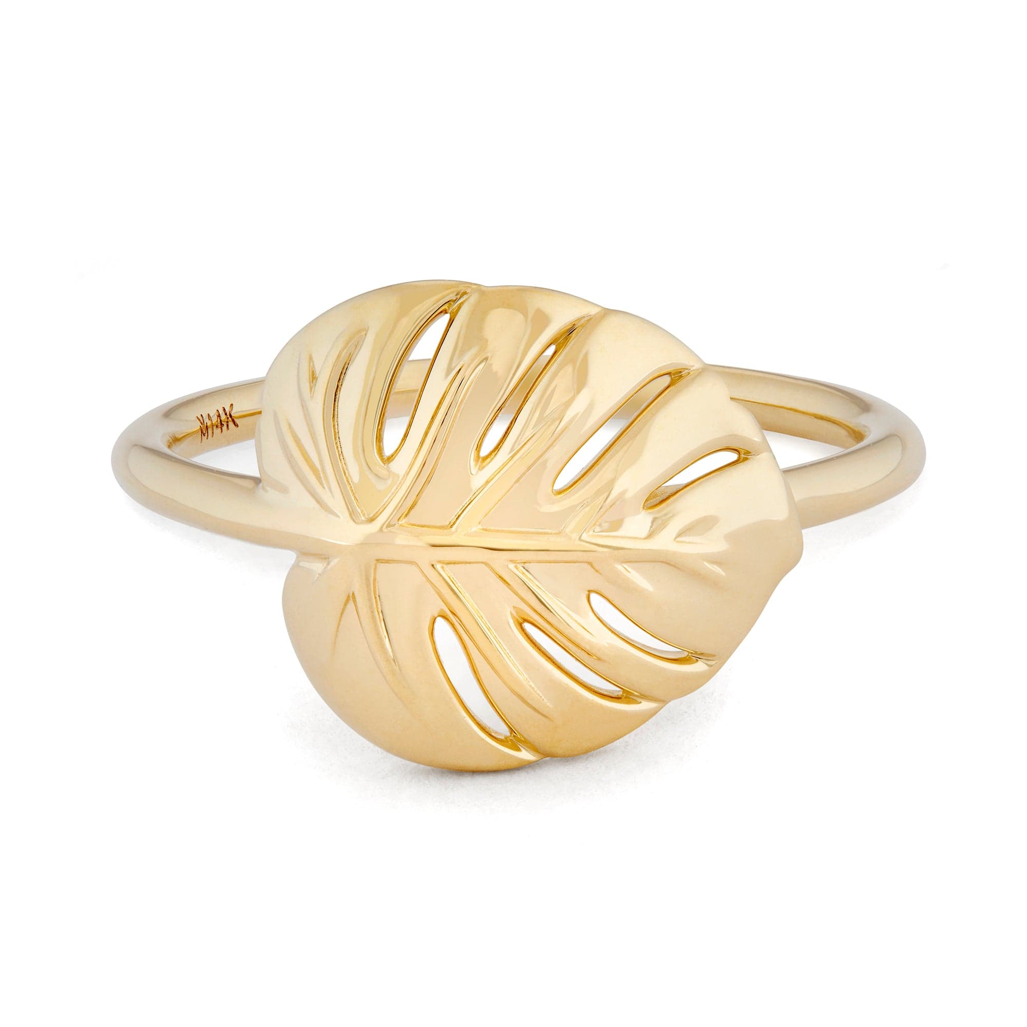 monstera ring Monstera Ring